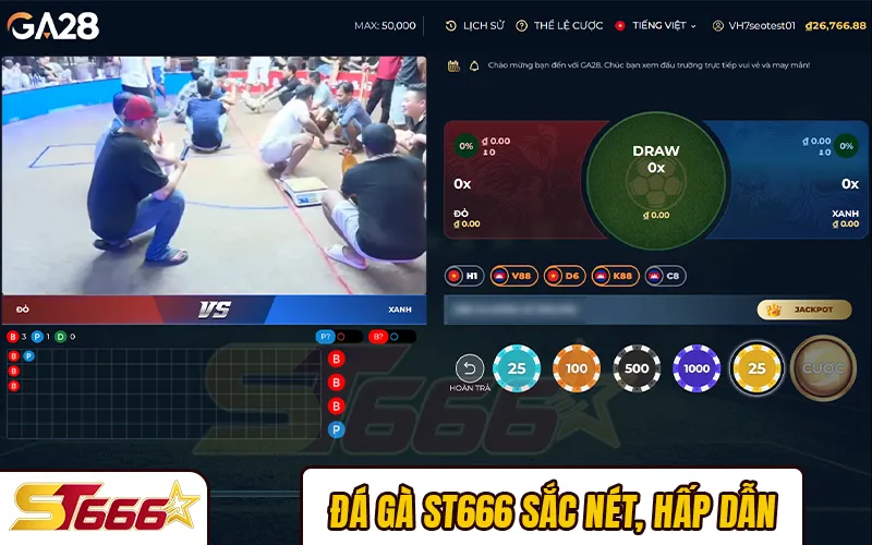 Đá gà ST666 sắc nét